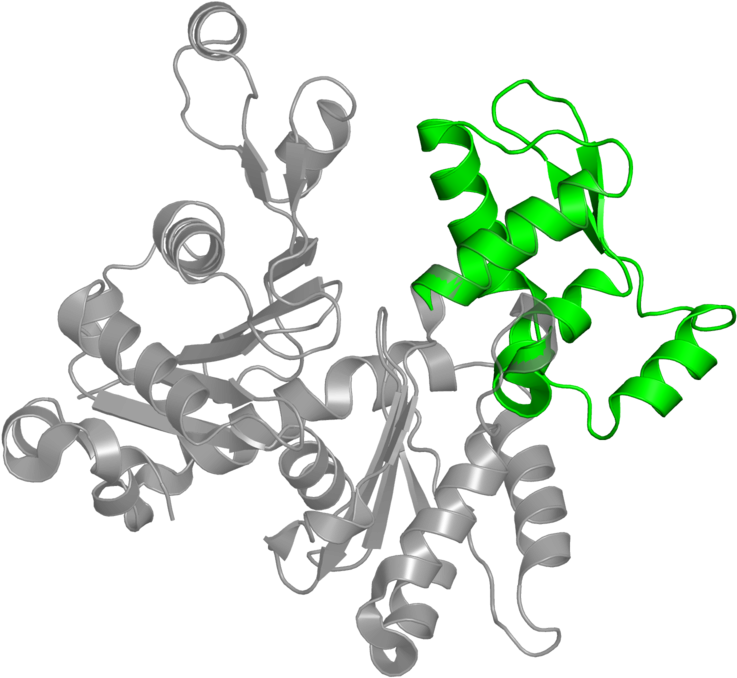 <div Class='caption-body'>1 Copy Of Cath Domain - Illustration (800x800)