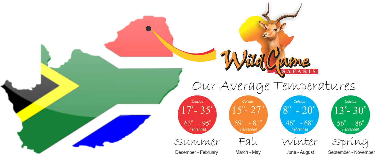 Travel Info - South African Flag (1300x546)