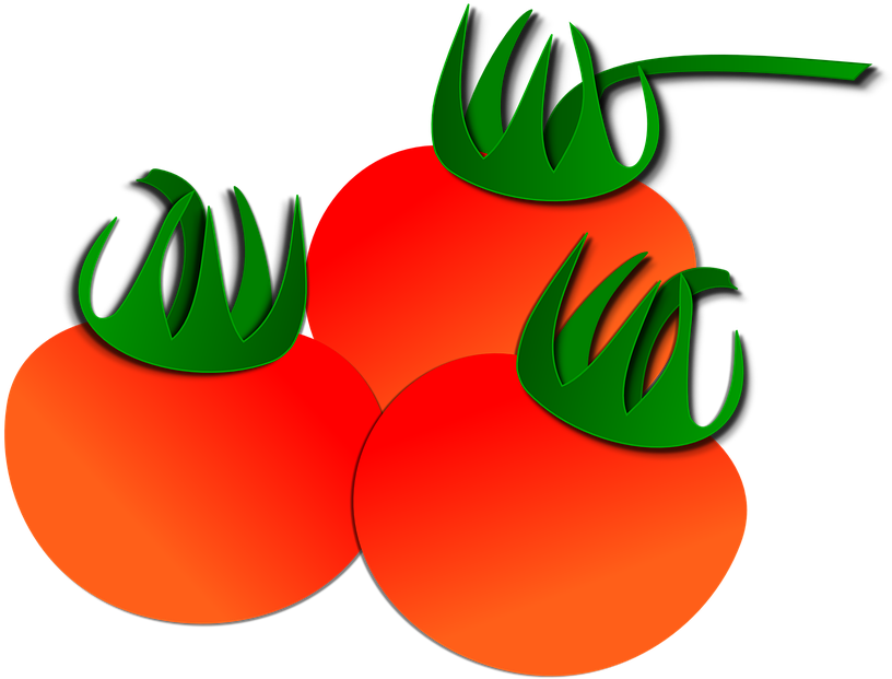 Tomato Clipart Red Fruit - Tomato Image No Background (953x720)