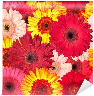 Seamless Pattern From Vibrant Gerbera Flowers Wall - Flores (400x400)