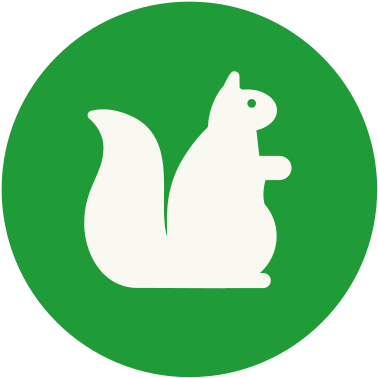 Hikes And A Nature Scavenger Hunt, And Investigate - Portrait Of A Man (392x392)