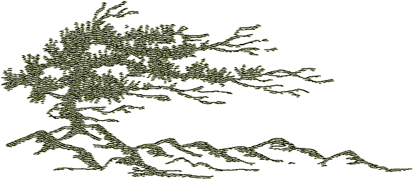 Micah Parkin - Boulder County, Colorado (610x263)