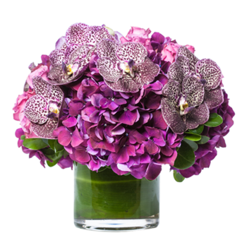 Bloom Royal Gift Arrangement - Bouquet (480x480)