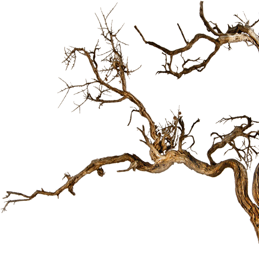 Сказание О Кербеле (530x525)