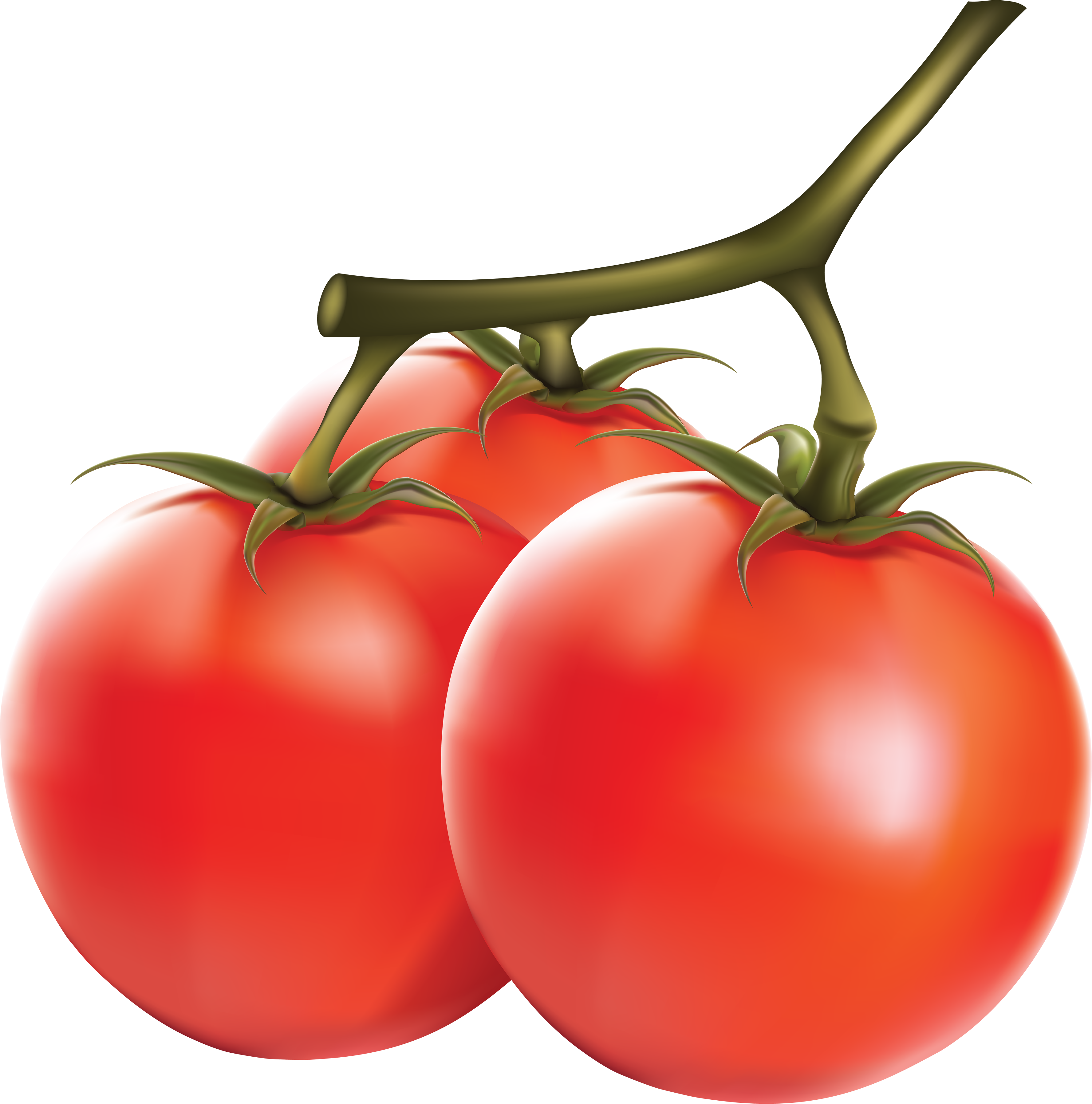 Tomato Png (3553x3592)