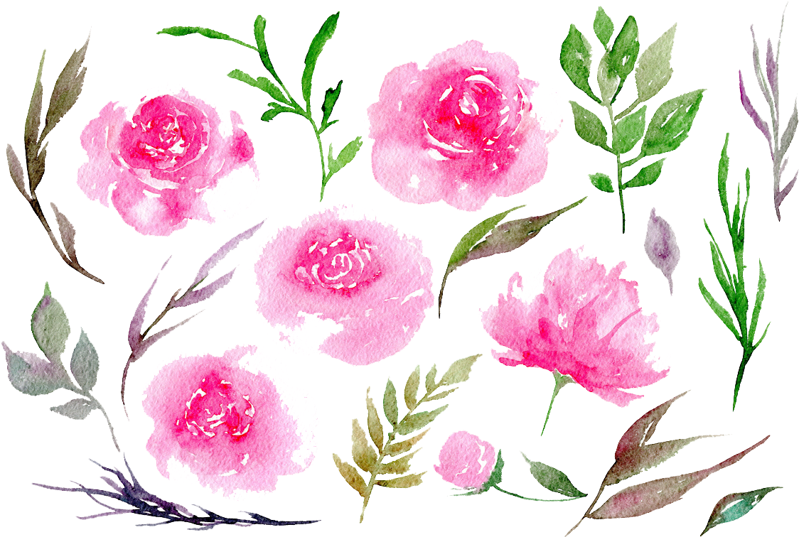Peony Clipart Transparent - Portable Network Graphics (1160x772)