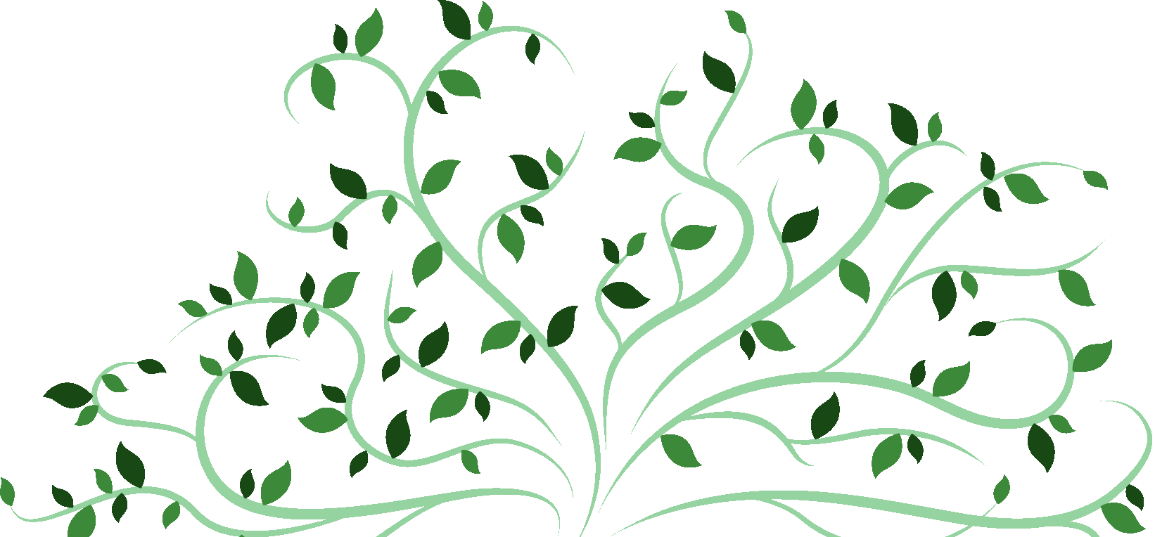 Organic Seo Services - Organic Search (1642x764)