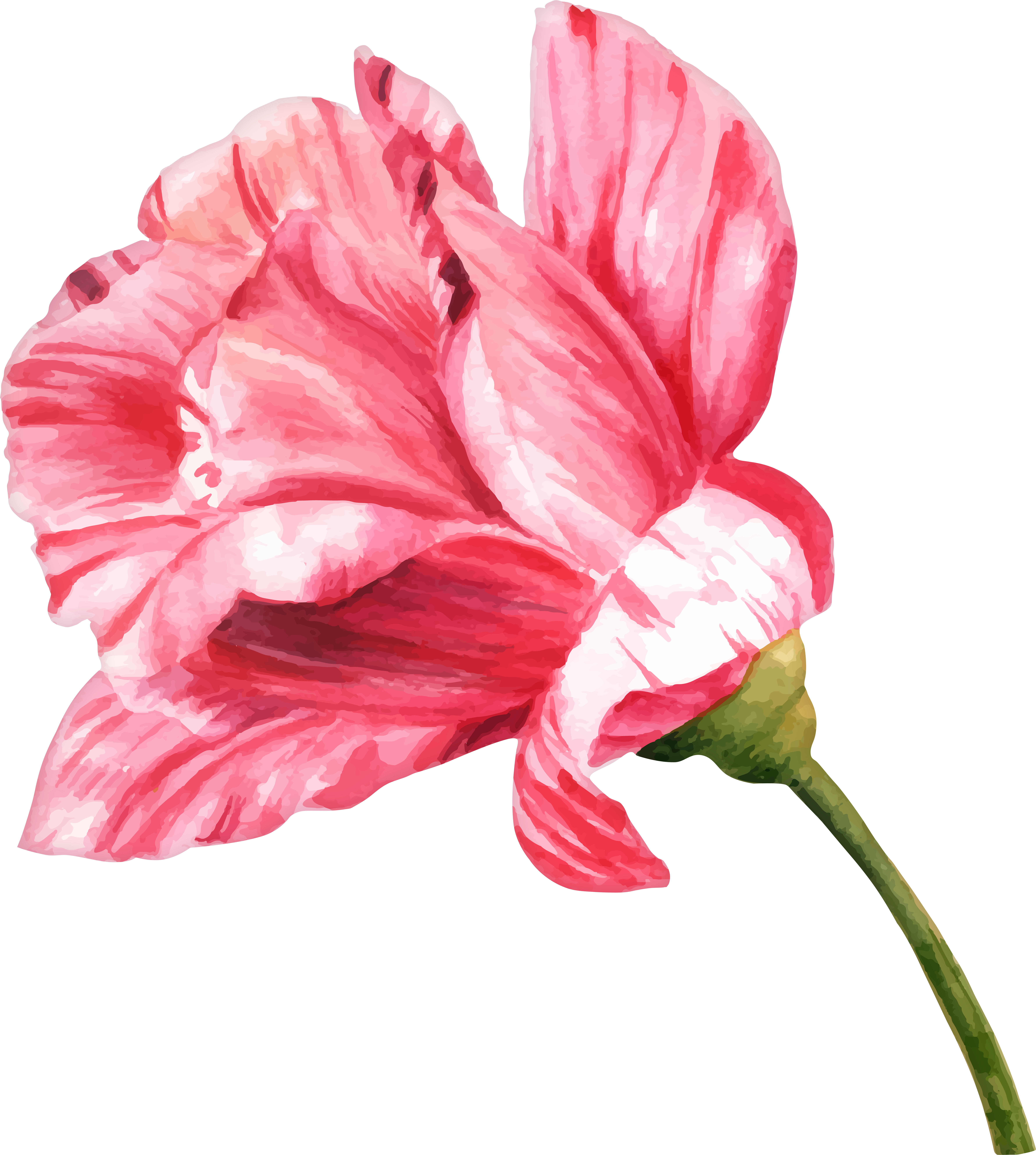 Watercolor Flower Png Clip Art Image - Watercolor Flower Png Clip Art Image (7194x8000)