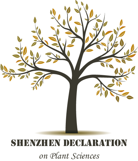 Actions And Priorities To Connect The Global Community - Life In Poetry [book] (472x548)