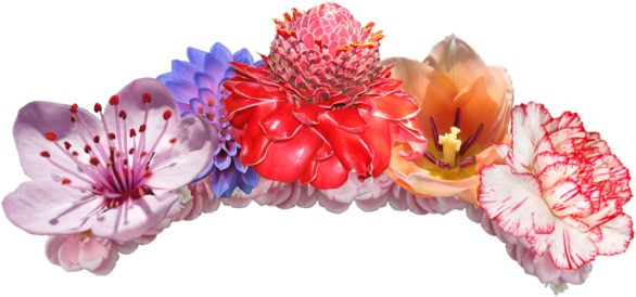 Girl Images Stock Photos Amp Vectors Shutterstock - Flower Crown Png (700x411)