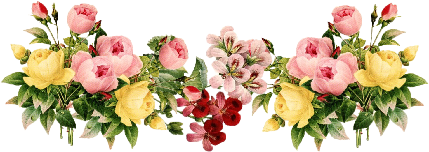 Flower Transparent Background - Flowers Border Line Png (1548x550)