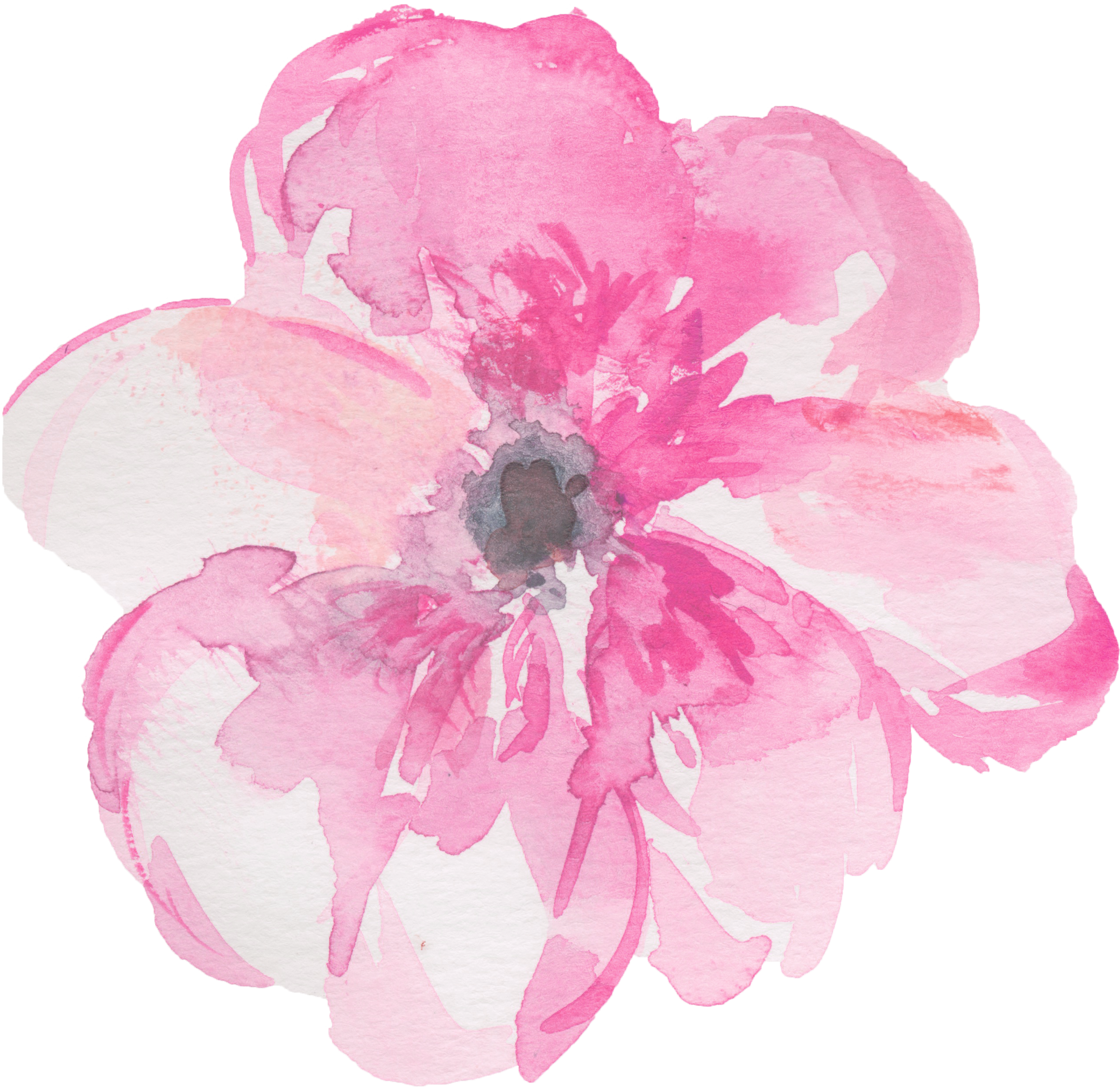 Розовый цветок нарисованный. Прозрачные Акварельные цветы. Розовые Акварельные цветы. Розовые цветы на прозрачном фоне. Цветы акварель на прозрачном фоне.