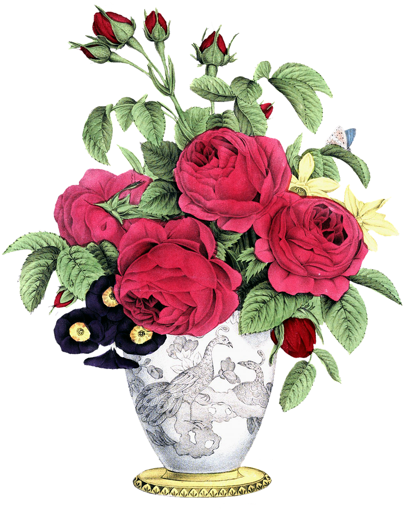 Ya Sólo Faltan Algunos Días Para Que Llegue Febrero, - Boquet - 1845 Throw Blanket (1067x1280)