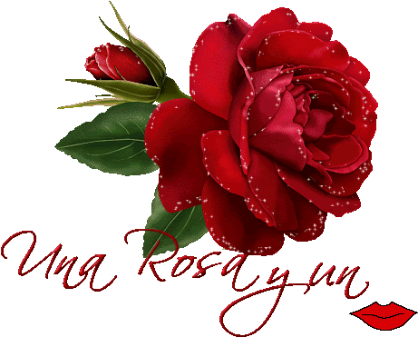 Flores Para Ambientar," Decorar Jardines Y Fachadas - Welcome Rose (480x390)