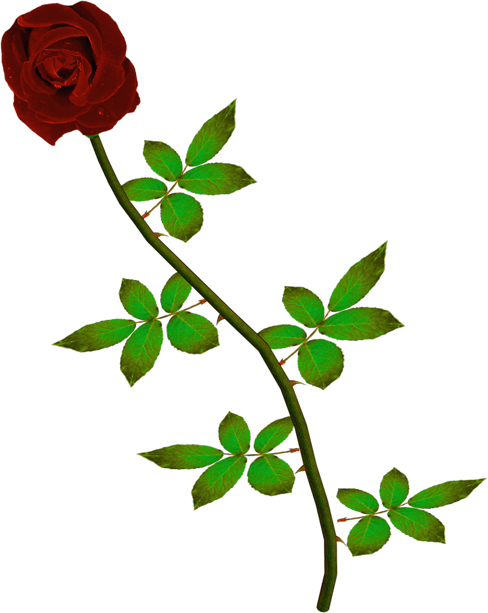Rosas Rojas Png - Rosas Rojas Animadas Png (990x1400)