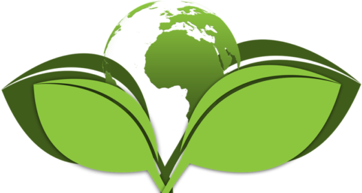 7 Action Steps For Making Your Home More Earth-friendly - Corporate Social Responsibilities Clip Art (578x280)