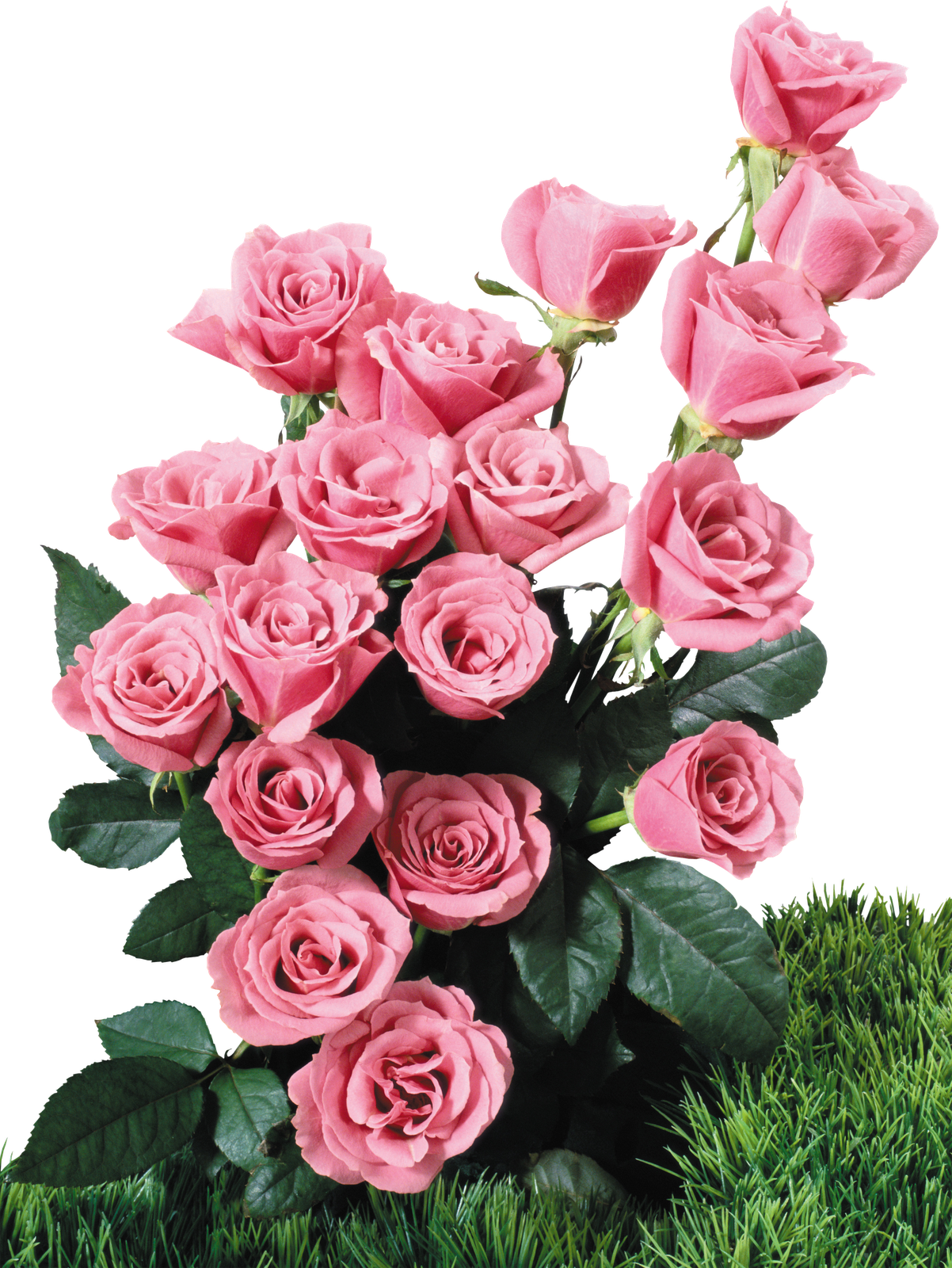 Flores Fotos Gratis Tatoo Cotes Imagenes De Ramos De - Marco De Flores Png (1202x1600)