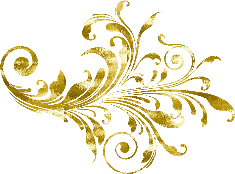 Flores Para Invitacion Png - Vector Flower (846x639)