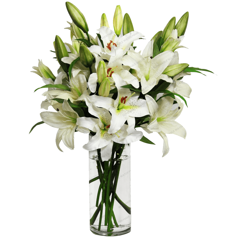 Purple Iris Png, Vectors, Psd, And Clipart For Free - Flowers In Vase Png (1000x1000)