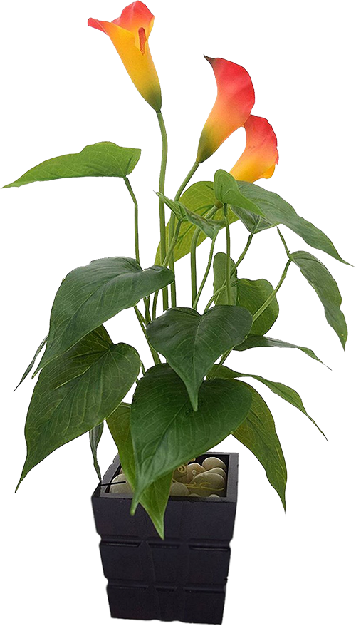 Buy Fourwalls Polyurethane Artificial Real-touch Calla - Plants (500x878)