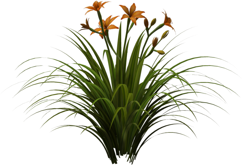 Plants And Vegetation Stock By Wolverine041269 On Deviantart - Artificial Tree Grass Plant (1024x639)