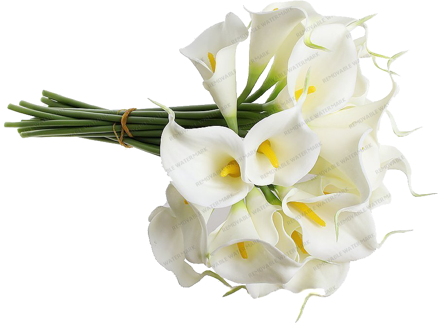 Rosa Palo De Rosa - Wedding Bouquet (1000x1000)