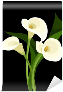White Calla Lilies On Black - Cartuchos Flores Vector (400x400)