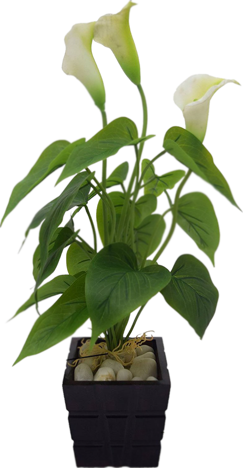 Image Fourwalls Polyurethane Artificial Real-touch - Planter (500x962)