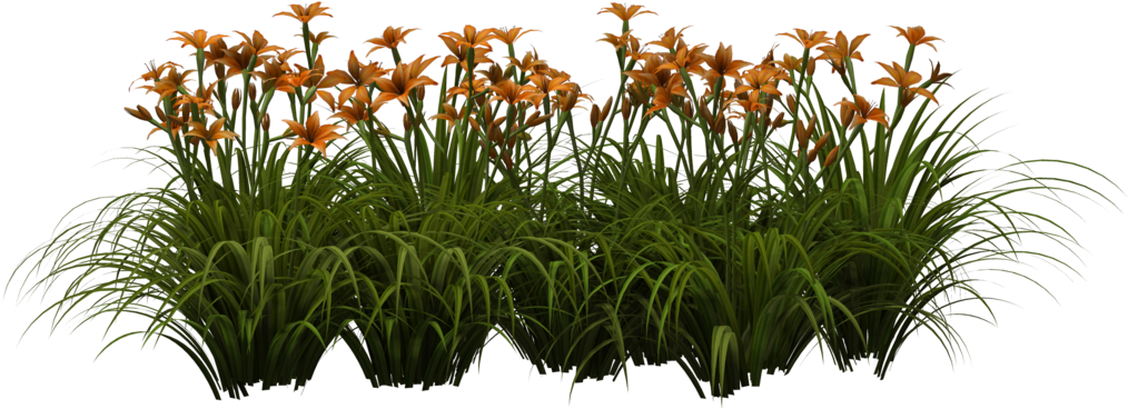 0 Png - Wooden Half Barrel Garden Planter, Medium (1024x640)