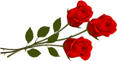 Red Roses - Rose Png Hd (500x319)