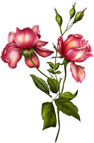 Zoom Diseño Y Fotografia - Alice In Wonderland Flowers Png (331x500)