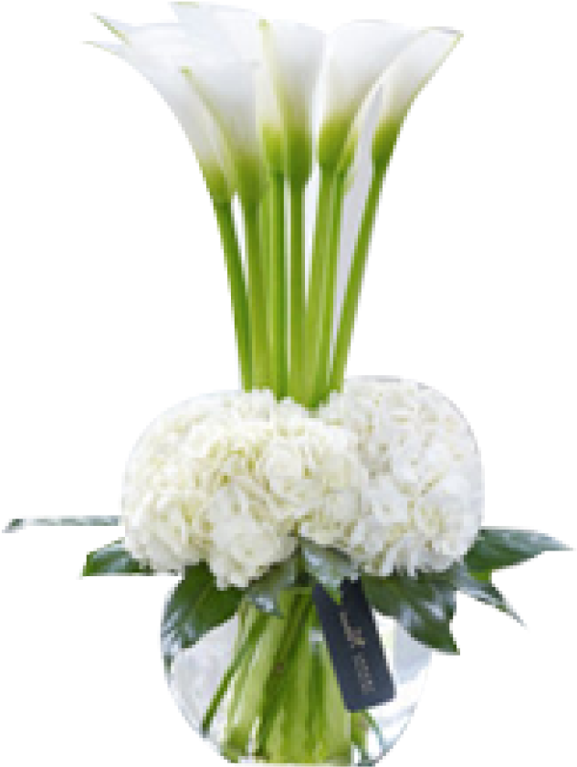 This Chic And Contemporary Hand-tied Bouquet Is Rich - Calla Lily In Vase (736x1028)