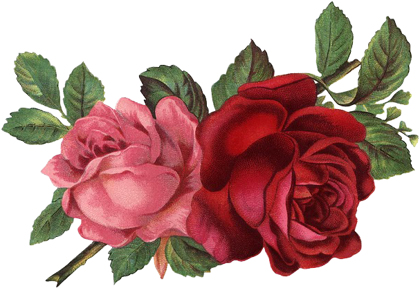 Collages - Flores Vintage Png (666x466)