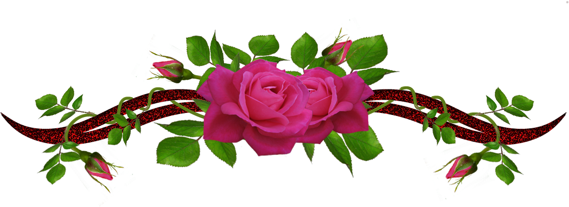 Rosas Em Png - Rosas Em Png (1161x404)