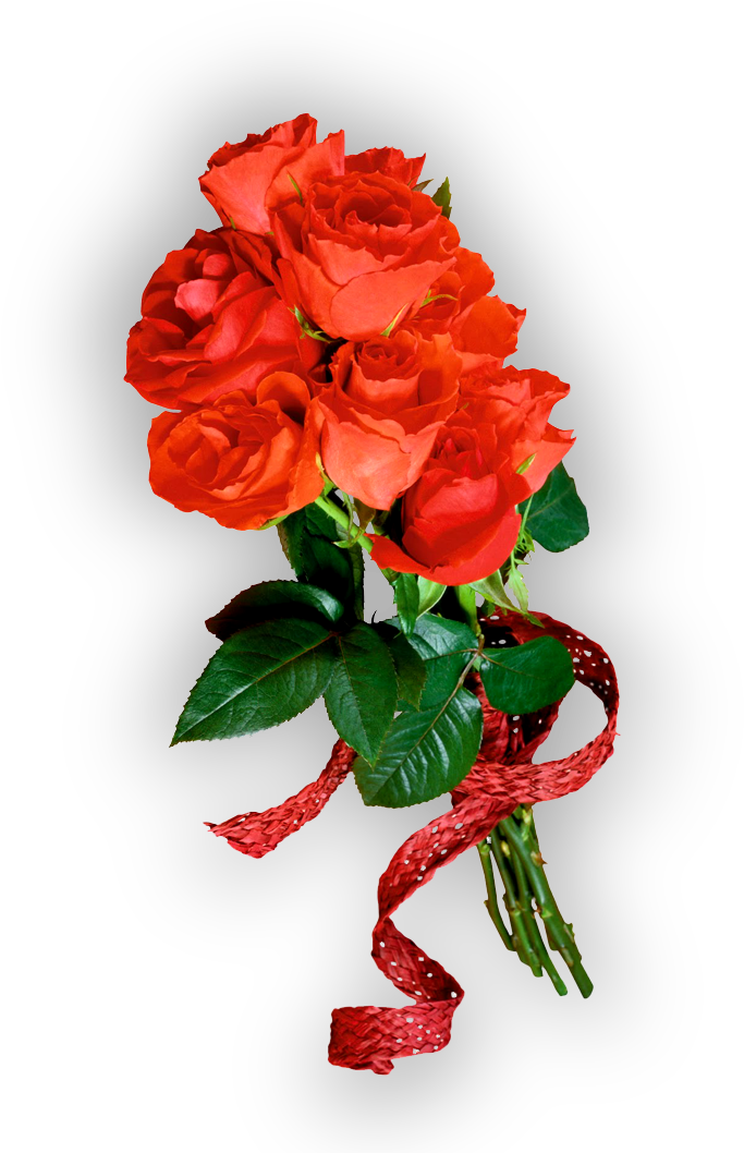 Imágenes Vintage Gratis / Free Vintage Images - Ramo De Rosas Rojas En Png (776x1074)