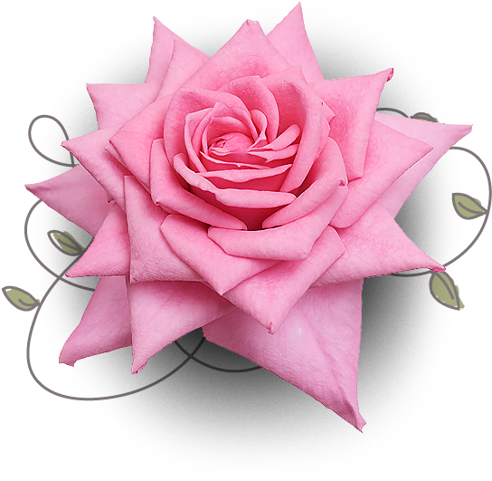 Bouquet - Dulzura Para El Alma (567x625)