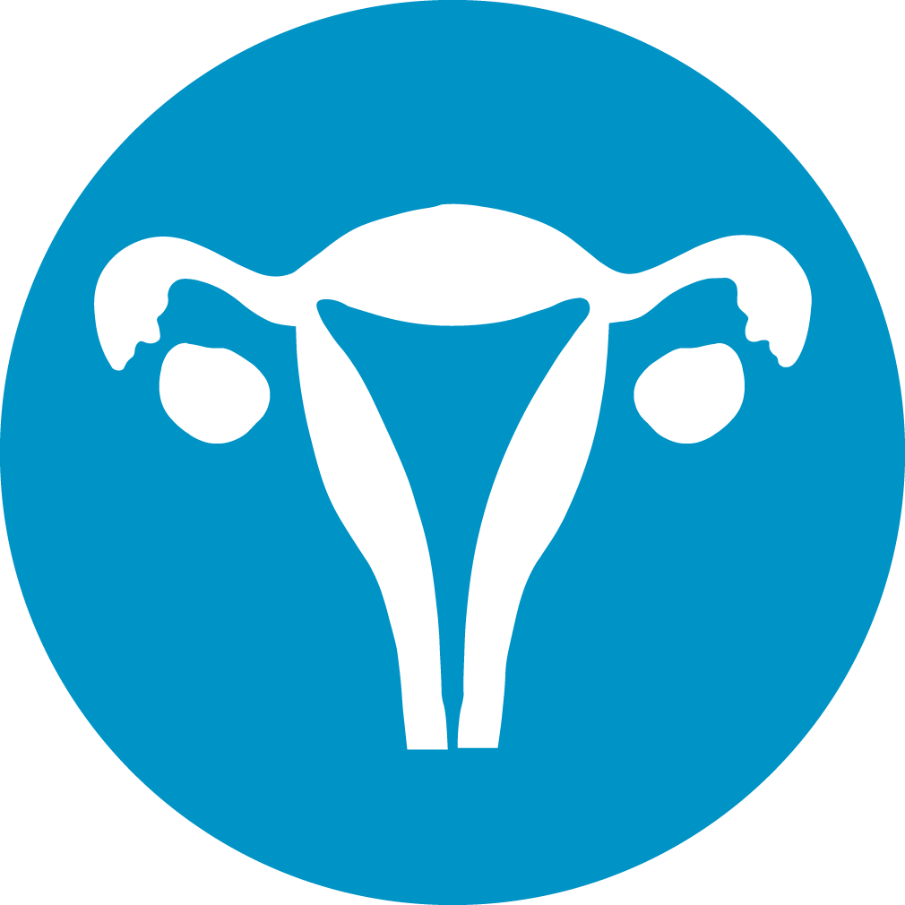 Download and share clipart about Gynaecology Icon - Gynaecology, Find more ...