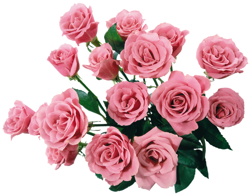 Royalty Free Clipart Image Of A Bouquet Of Pink Roses - Pink Roses Clip Art (800x627)