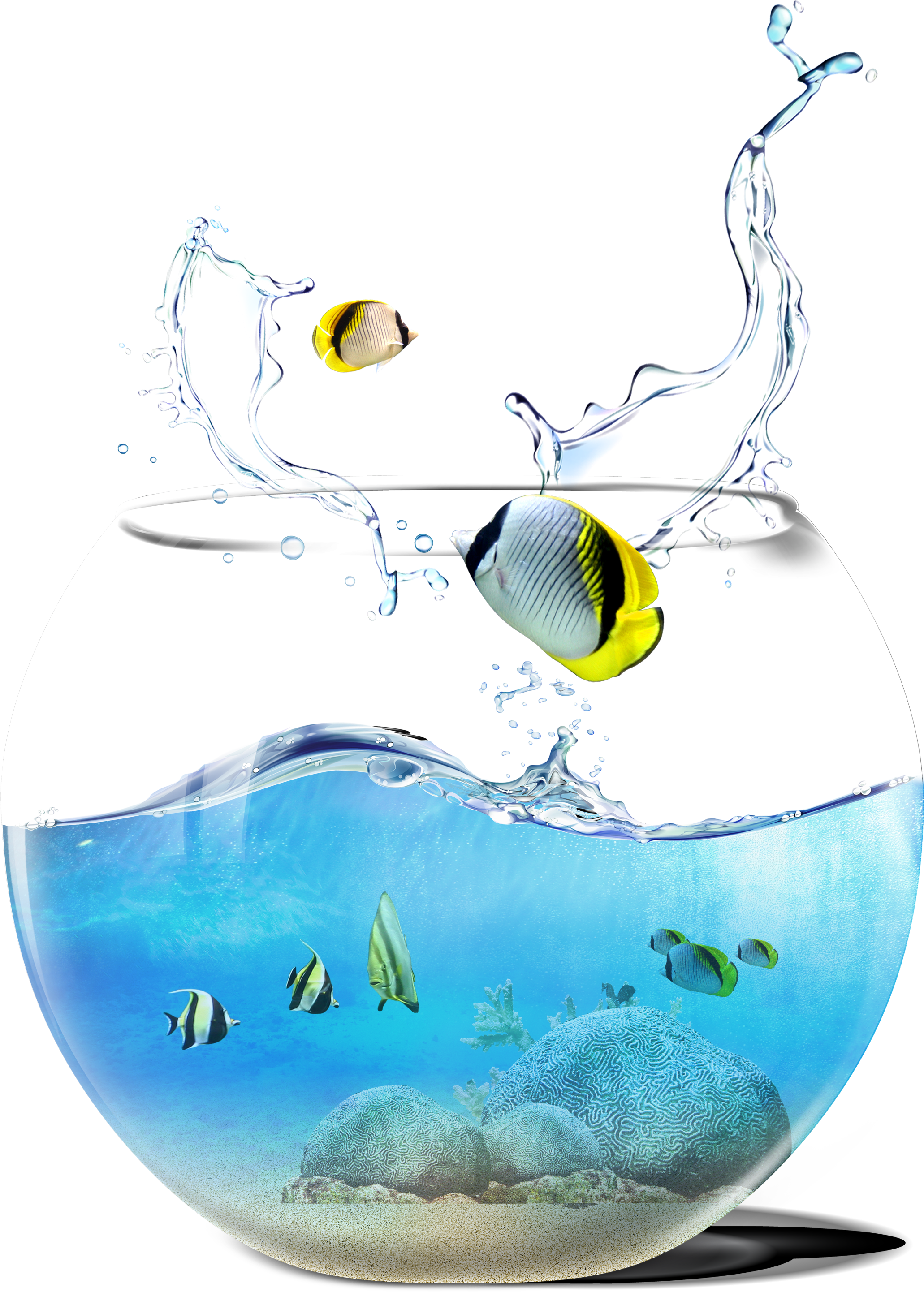 Cutlass Fish Tank - Digital Ph Meter, Sokos 0.01 Ph High Accuracy Water (2796x2999)