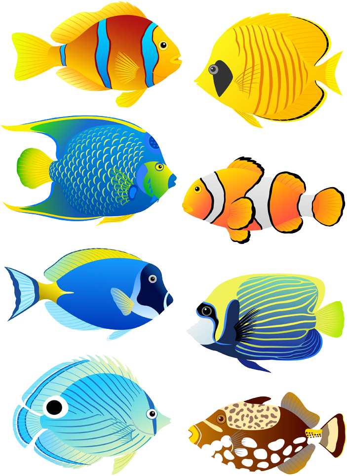 Tropical Fish Angelfish Aquarium Clip Art - Tropical Fishes (720x1000)