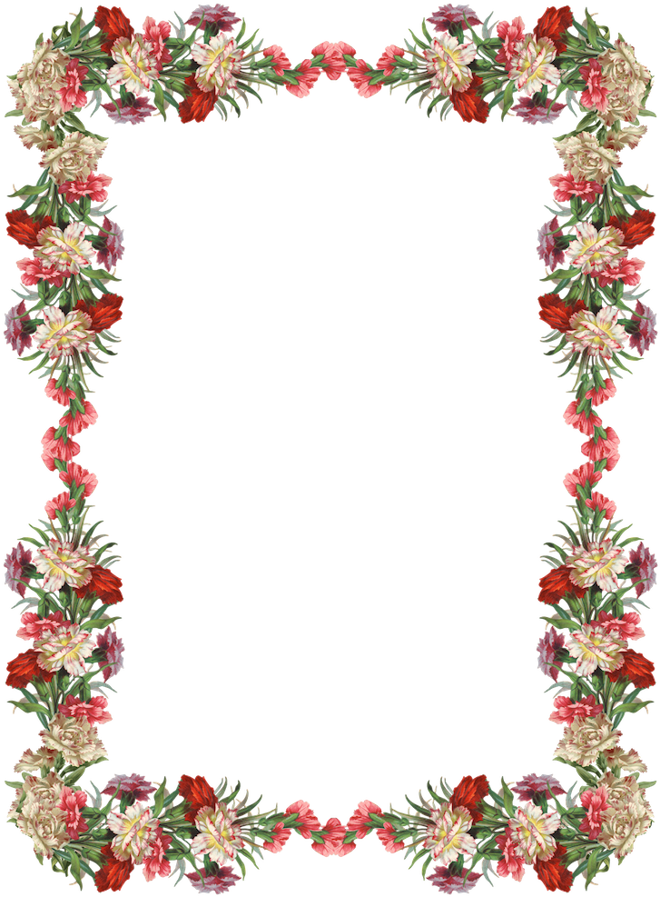 Free Digital Vintage Flower Frame And Border - Flower Border Design Png (738x1000)