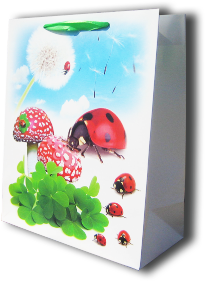 9641 Sacosa P/cadou 26*32*12 - Ladybug (600x600)