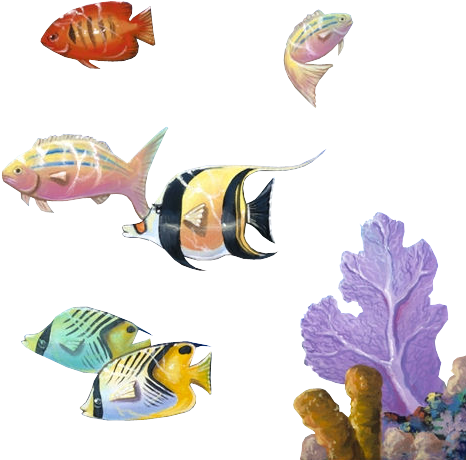 Poisson - Poisson Distribution (504x504)