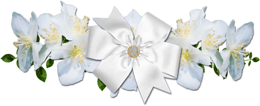 White Roses And Bow Png By Melissa-tm - Flower (900x379)