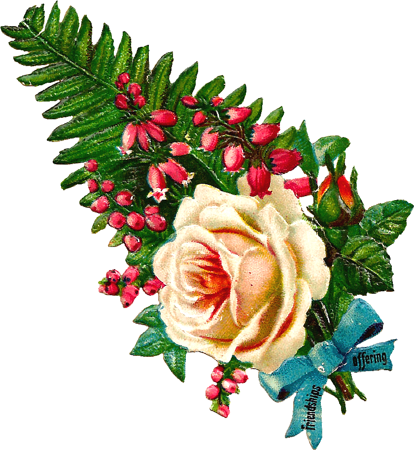 This Is A Lovely Digital Botanical Flower Clip Art - Botany (1158x1207)