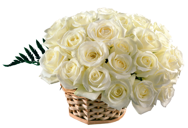 Bouquet Clipart Rose - Beautiful White Rose Flowers (600x407)