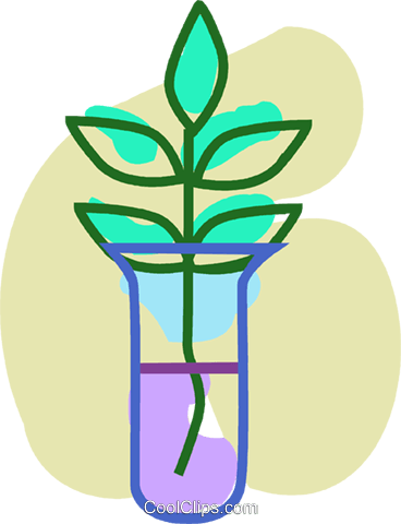 Beakers Flasks And Test Tubes Royalty Free Vector Clip - Test Tube (368x480)