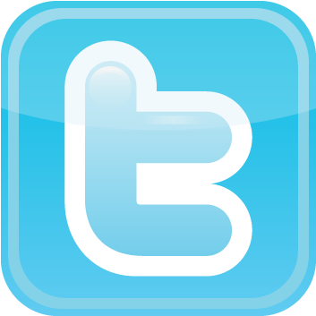 Twitter Icon Vector - Twitter Icon (400x400)