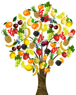 Fruit Tree - Arbol De Frutas Png (600x399)
