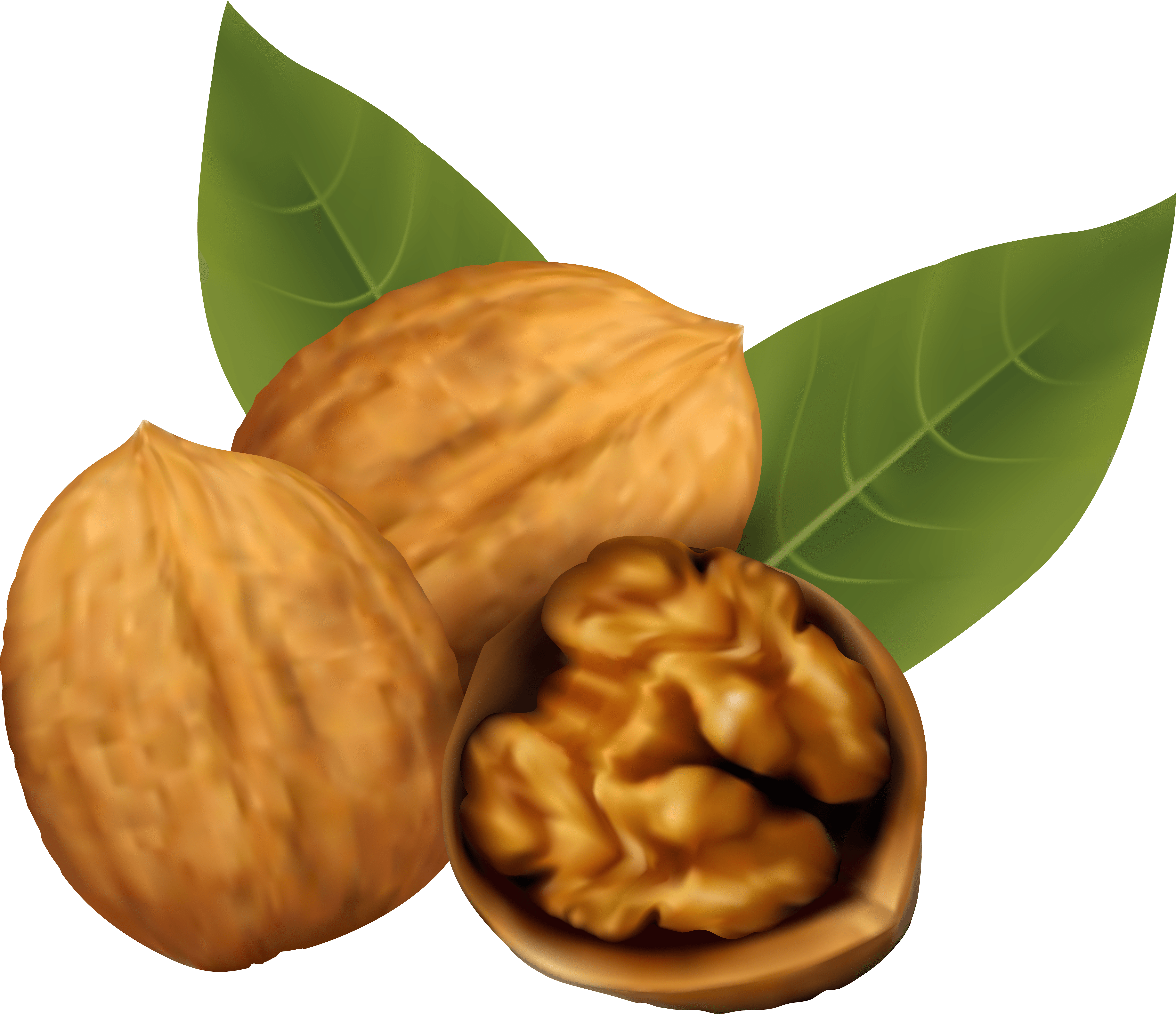 Walnuts Png Clipart Image - Pecan Clipart (6270x5401)